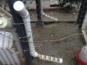 Feeders made from pipe parts, make enough spaces so all chickens can eat at once