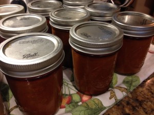 Jars of home canned enchilada sauce