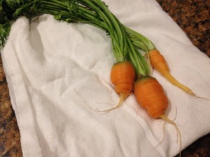 Garden carrots