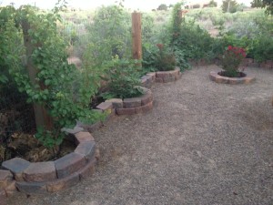 These decorative borders have vegetables and herbs planted at this NM home